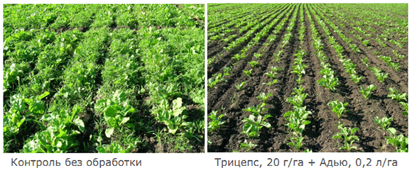 Испытания совместно с Трицепсом