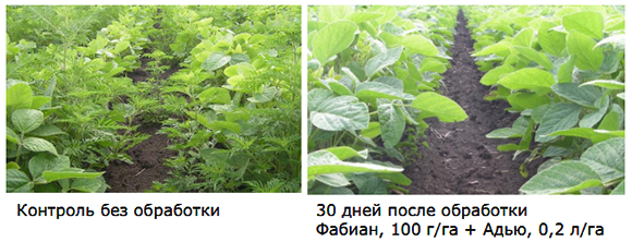 Испытания совместно с Фабианом