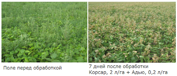 Борьба с переросшими сорняками