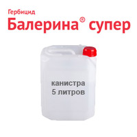 Подпись