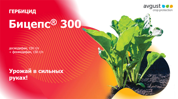 Гербицид Бицепс 300