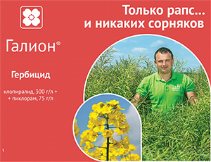 Галион