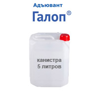 Подпись