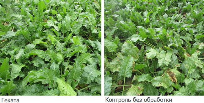 Результаты применения