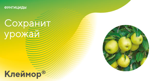 Фунгицид Клеймор