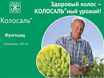 Колосаль