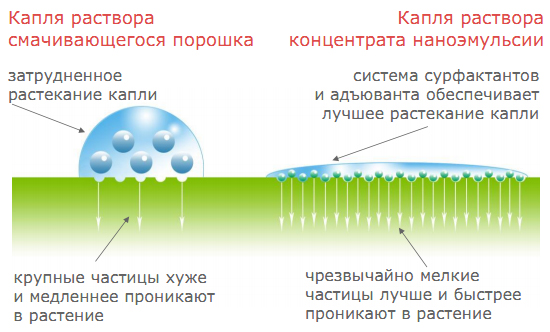Препаративная форма