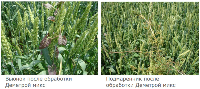 Мортира в составе Деметры микс