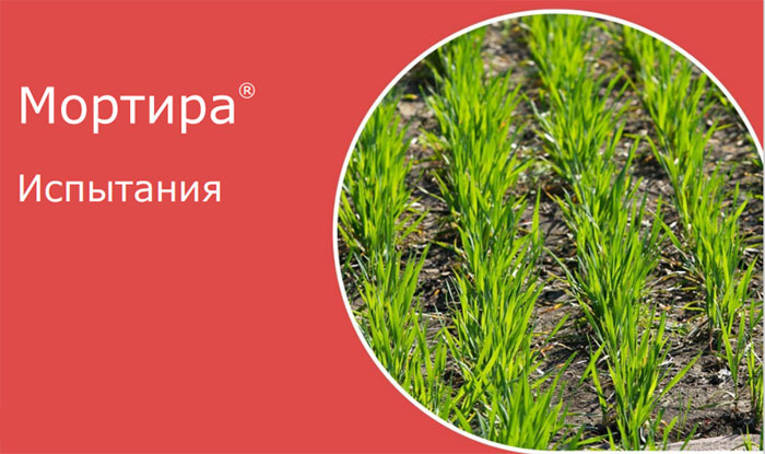 Испытания гербицида Мортира