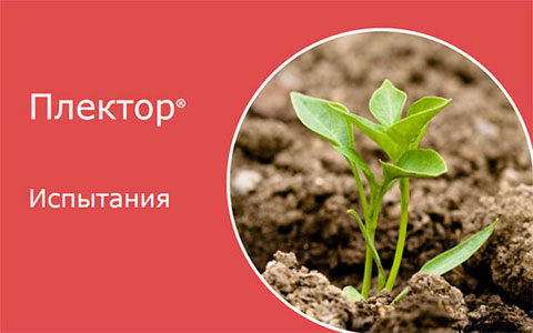 Испытания
