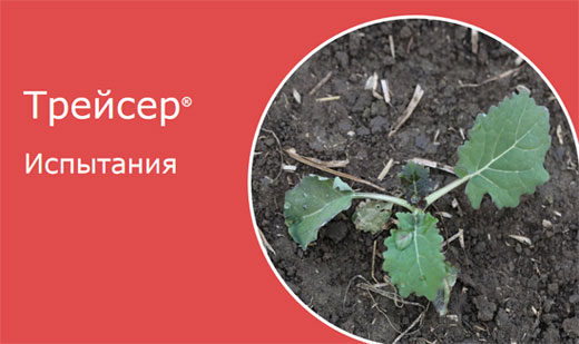 Испытания