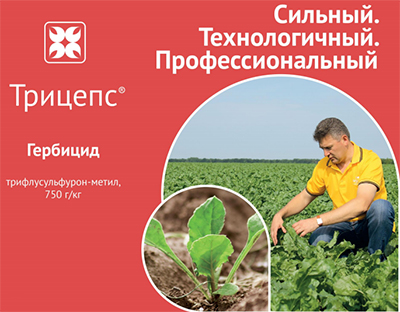Трицепс