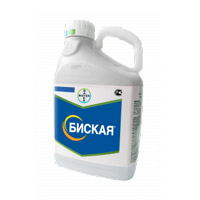 Подпись