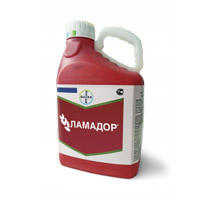 Подпись