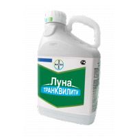 Подпись