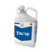 Подпись