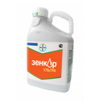 Подпись