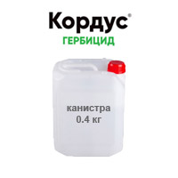 Подпись
