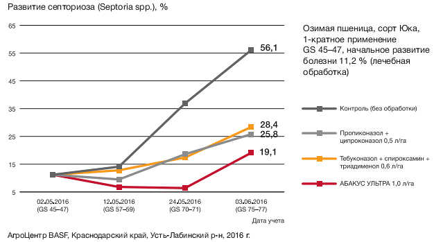 Развитие септориоза
