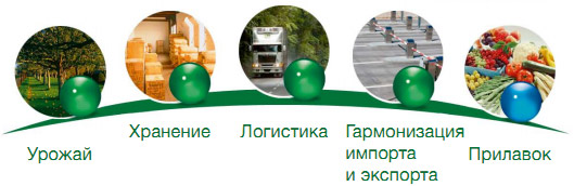 Байер