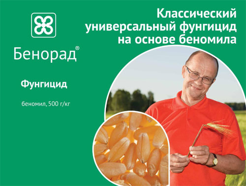Фунгицид Бенорад