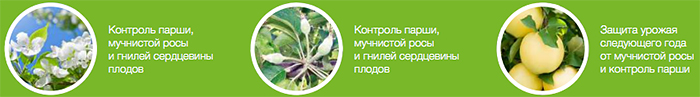 Всесторонняя защита