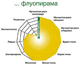 Нажмите для увеличения Флуопирам