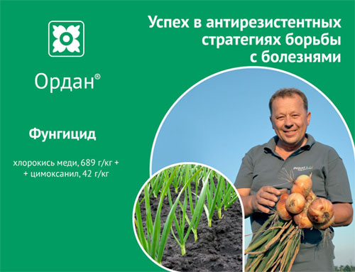 Фунгицид Ордан