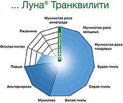 Пириметанил