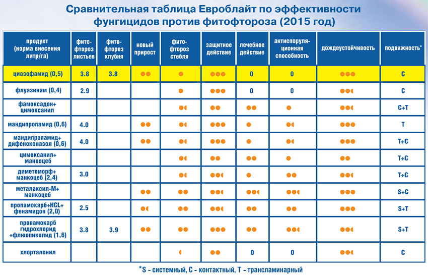 Таблица