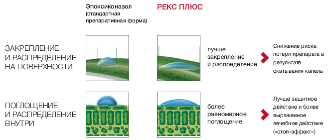 Улучшенная препаративная форма