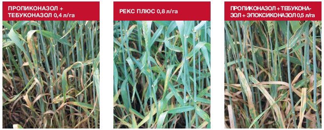 Результаты опытов в агроцентрах BASF