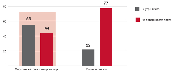 Таблица