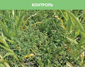Контроль без обработки