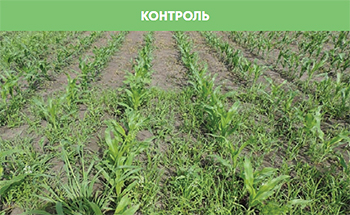 Контроль без обработки