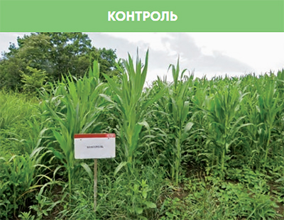 Контроль без обработки