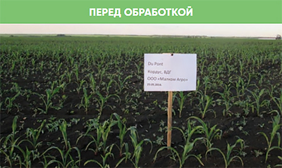 Перед обработкой