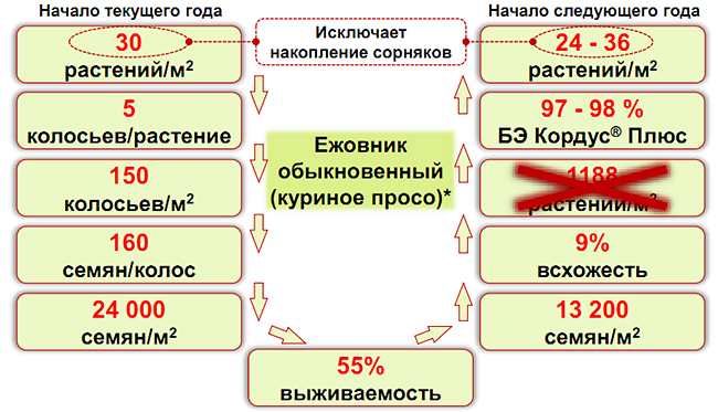 Биологическая эффективность
