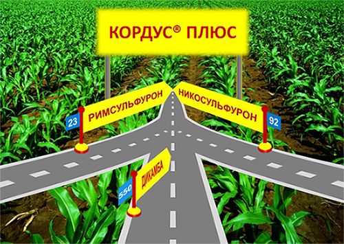 Вещества Кордус Плюс