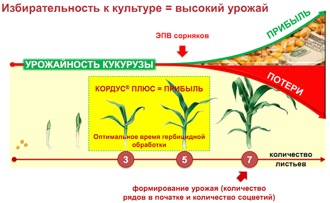 Схема