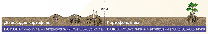 Схема 1