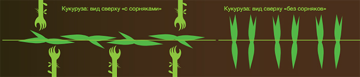Последствия засорения на ранних этапах