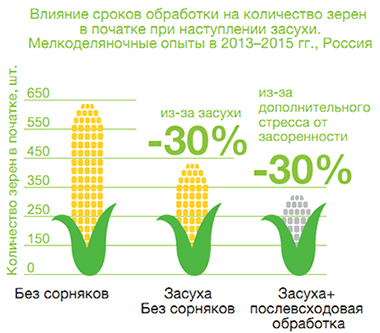 Влияние засоренности на стрессоустойчивость