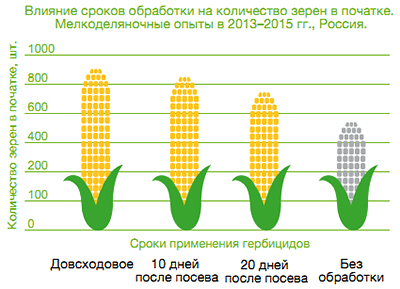 Влияние сроков обработки