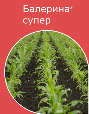 Балерина супер