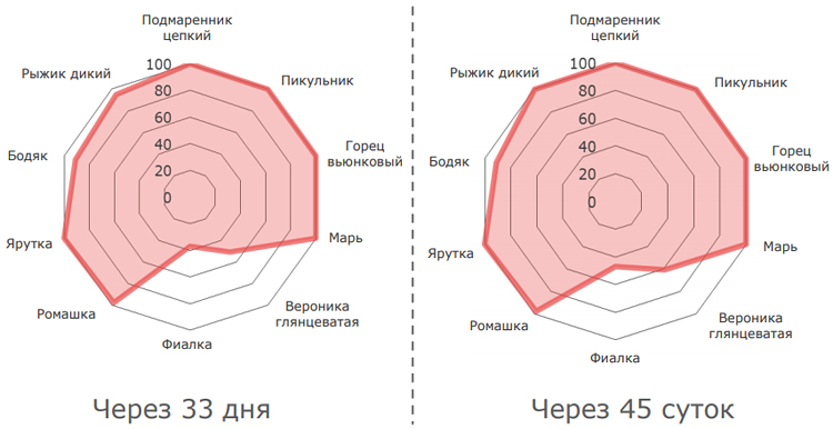 Результаты применения