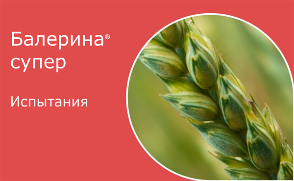 Испытания