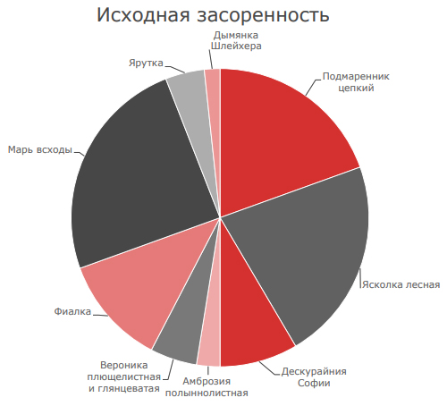 Исходная засоренность