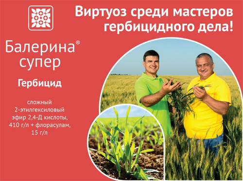 Балерина супер