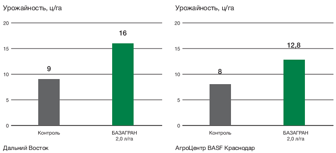 Хозяйственная эффективность гербицида Базагран